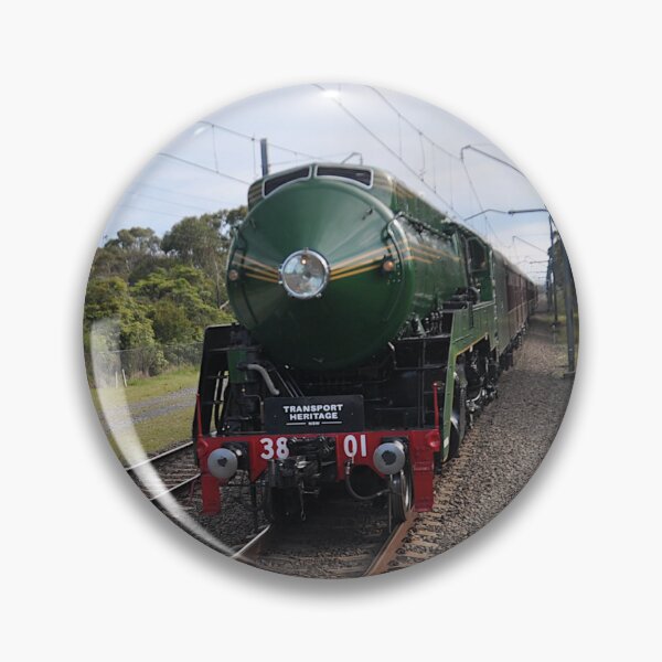Item preview, 20231014 Heathcote Stn, NSW - 3801 returns designed and sold by muz2142.