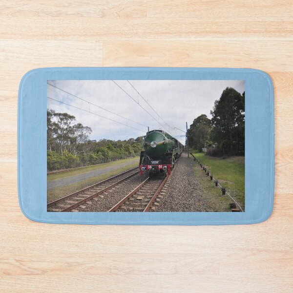 Item preview, 20231014 Heathcote Stn, NSW - 3801 returns designed and sold by muz2142.