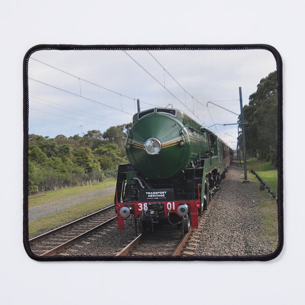 Item preview, 20231014 Heathcote Stn, NSW - 3801 returns designed and sold by muz2142.