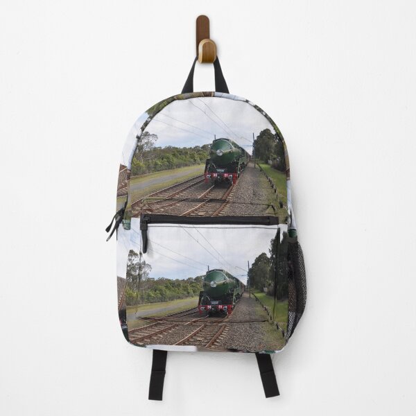 Item preview, 20231014 Heathcote Stn, NSW - 3801 returns designed and sold by muz2142.