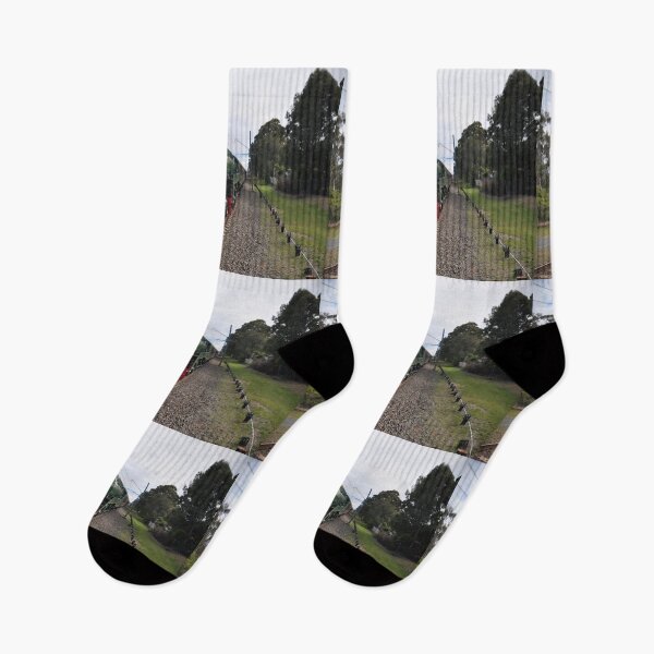 Item preview, 20231014 Heathcote Stn, NSW - 3801 returns designed and sold by muz2142.