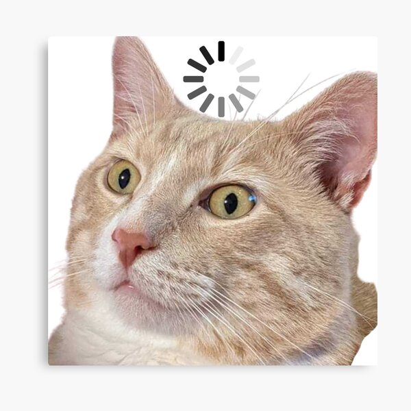 Cat loading icon meme Canvas Print for Sale by Goath