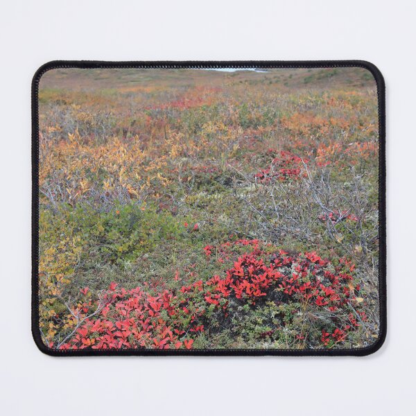 Item preview, Colours of tundra II designed and sold by zumi.