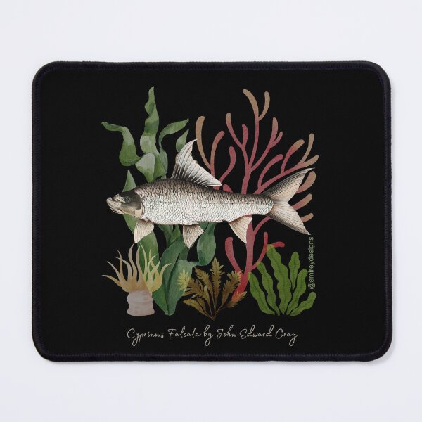 Item preview, Cyprinus Falcata by John Edward Gray designed and sold by smirey designs.