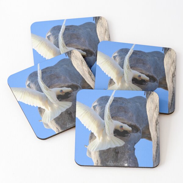 Item preview, Not So Little Corella designed and sold by shannimages.