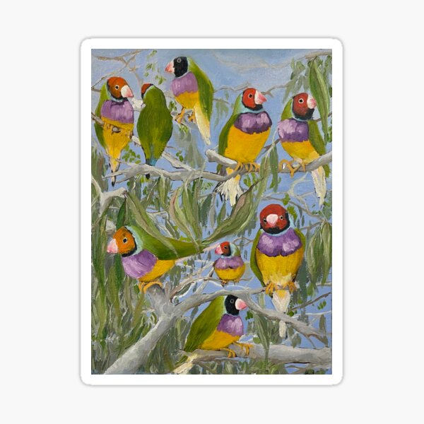Gouldian finches Sticker