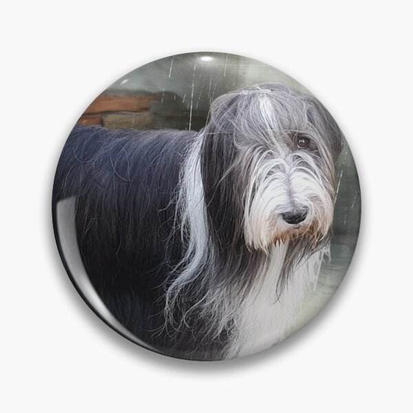 Item preview, Bearded Collie 3- designed and sold by PS-Design.