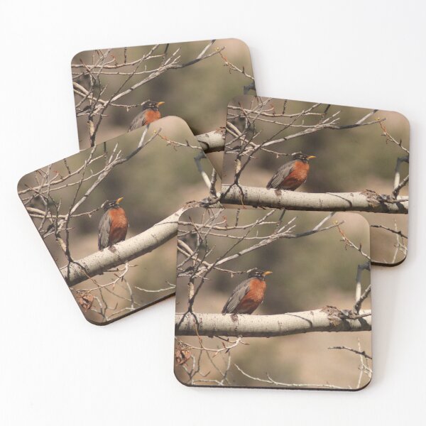 Item preview, Mr. Robin designed and sold by Photos, and Drawings, and Hybrids!!!!! Oh my!.