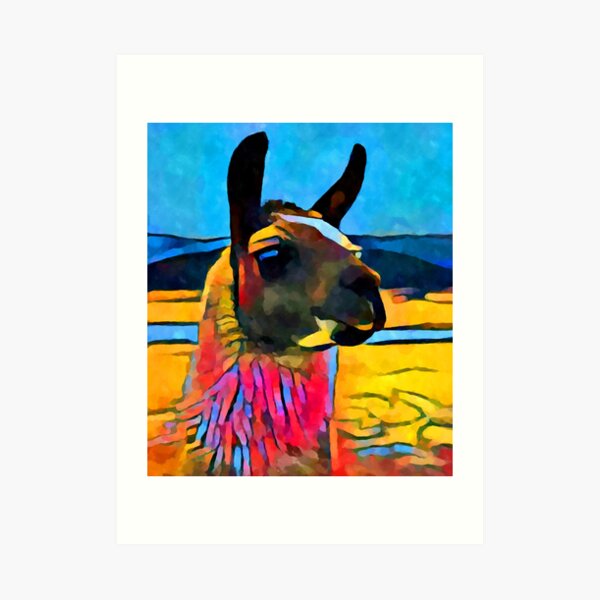 Llama Art Print