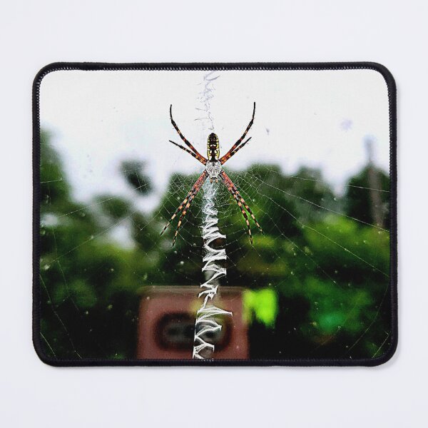 Item preview, Orb Weaver designed and sold by rsandstedt5386.