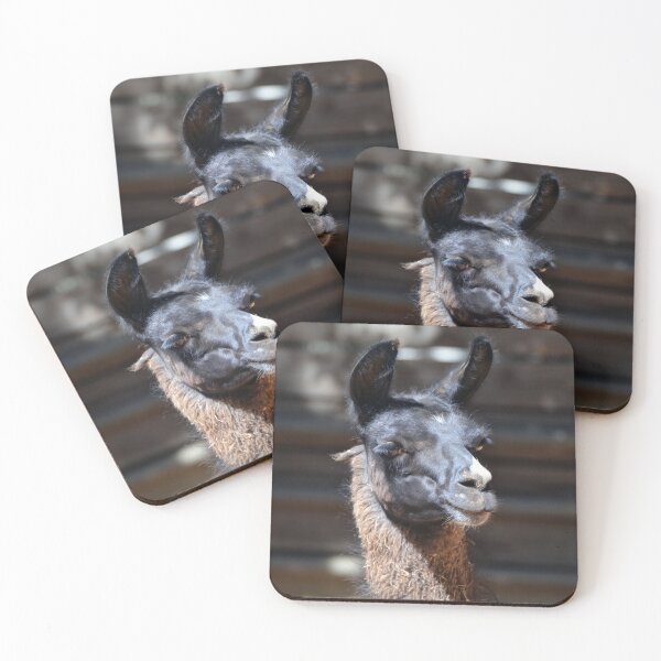 Item preview, Llama designed and sold by Savannah Gibbs.