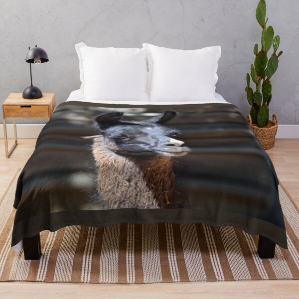 Item preview, Llama designed and sold by Savannah Gibbs.