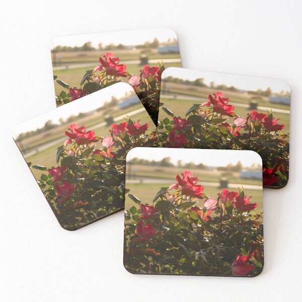 Item preview, Flower Bush  designed and sold by ZachCaraway.
