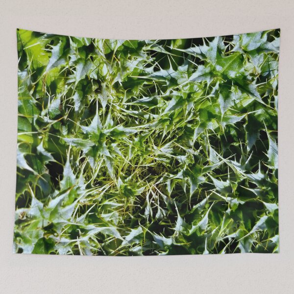Item preview, Spiky Thistle designed and sold by bjtomiko.