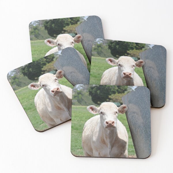 Item preview, White Cow designed and sold by IPPhotography.