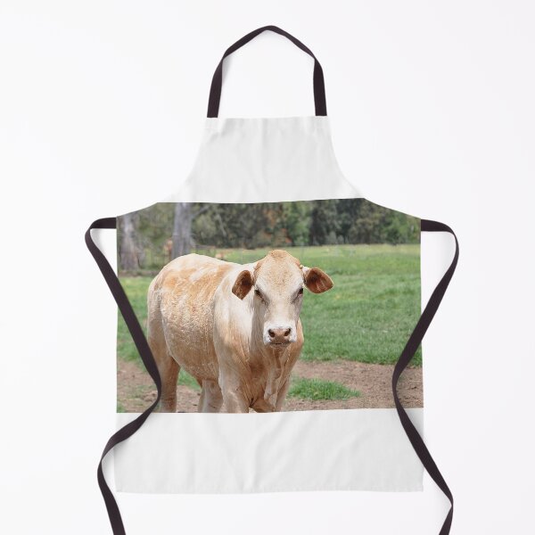 Item preview, Moo Cow in a field looking straight at me designed and sold by IPPhotography.
