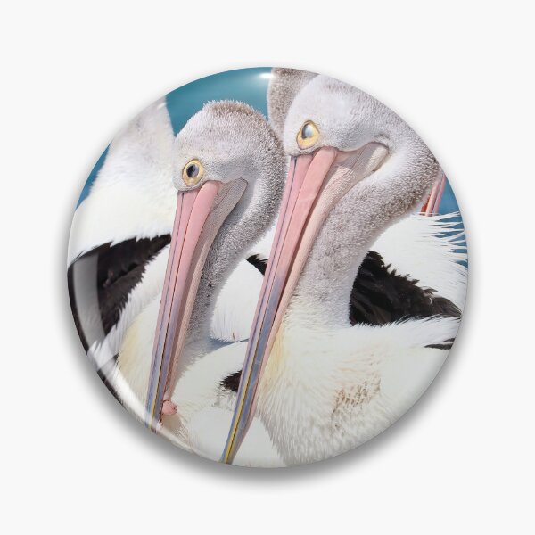 Item preview, Five Pelicans Tuncurry 05 designed and sold by kevin Chippindall.