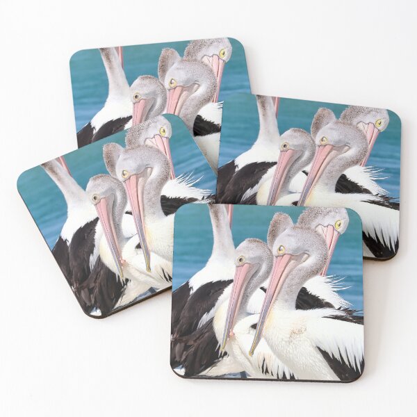 Item preview, Five Pelicans Tuncurry 05 designed and sold by kevin Chippindall.