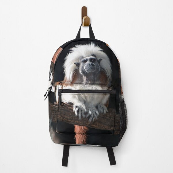 Item preview, Cottontop designed and sold by Savannah Gibbs.