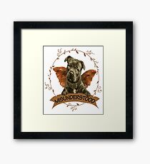 Pitbull Puppy Butterfly Framed Print