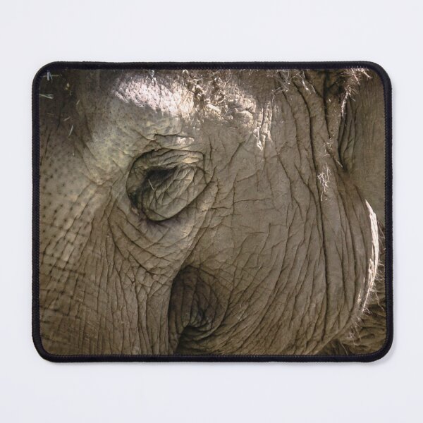 Item preview, Elephant Wrinkles at the Zoo - Melbourne, Victoria, Australia designed and sold by Steven Jodoin.