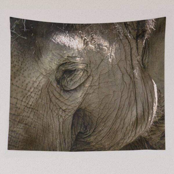 Item preview, Elephant Wrinkles at the Zoo - Melbourne, Victoria, Australia designed and sold by Steven Jodoin.