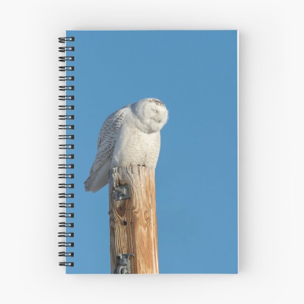 Item preview, Snowy Owl 2018-12 designed and sold by Thomasyoung.