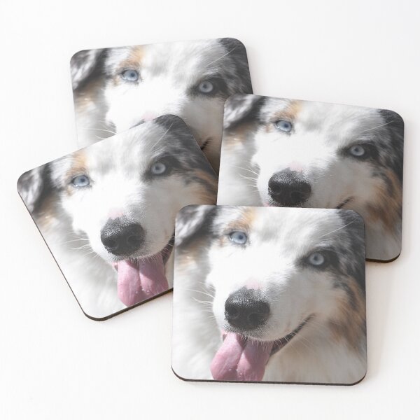 Item preview, Australian Sheperd dog head shot designed and sold by IPPhotography.