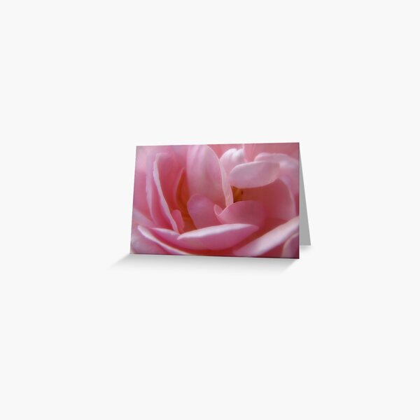 Item preview, Pink Pearls designed and sold by Karen Casey-Smith.