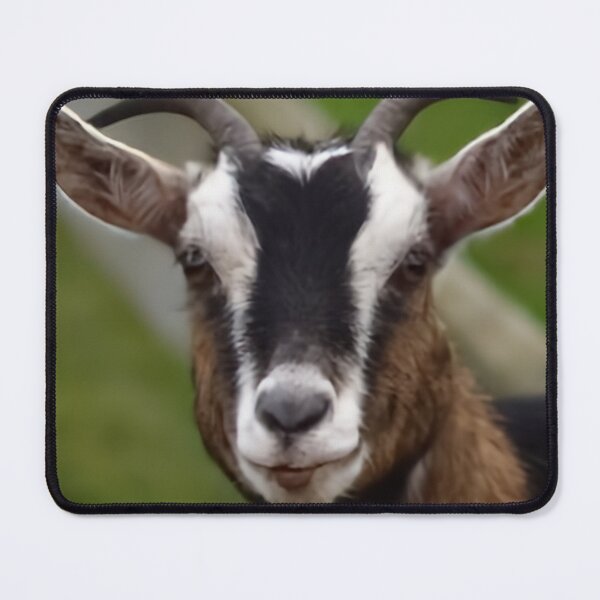 Item preview, Cute Farm Goat designed and sold by TheAnimalZ00.