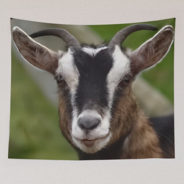 Item preview, Cute Farm Goat designed and sold by TheAnimalZ00.