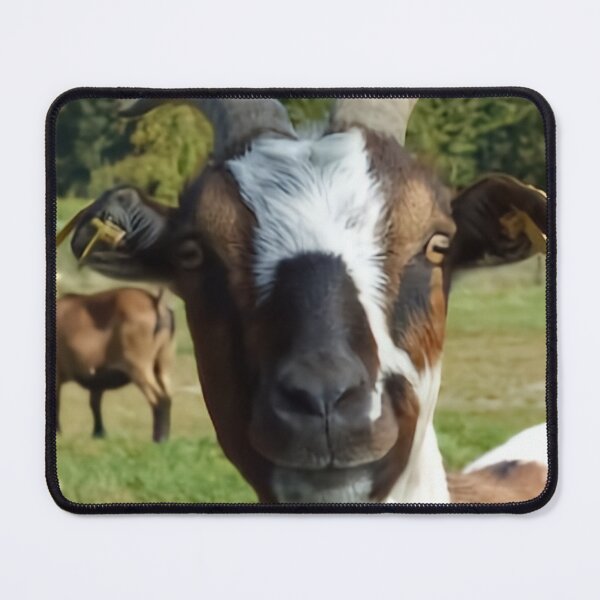 Item preview, Cute Happy Farm Goat designed and sold by TheAnimalZ00.
