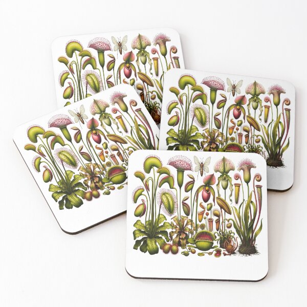 Item preview, Hungry Plants, Carnivorous Plants Collection designed and sold by encyclo-art.