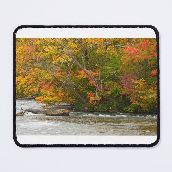 Item preview, Splendor of Goat Island - V designed and sold by fototaker Tony.