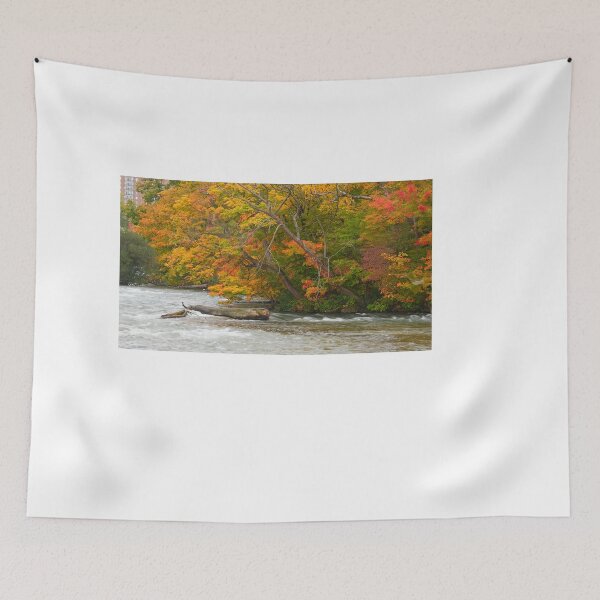 Item preview, Splendor of Goat Island - V designed and sold by fototaker Tony.