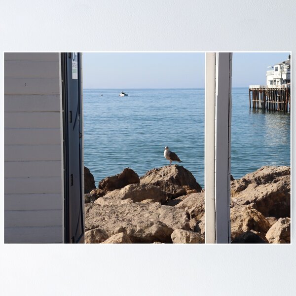 Item preview, seabird designed and sold by stuffolies.