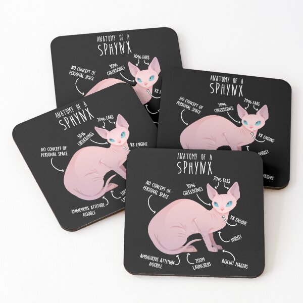 Artikelvorschau, Anatomie der Sphynx-Katze entworfen und verkauft von Clara Hollins.