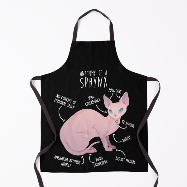 Artikelvorschau, Anatomie der Sphynx-Katze entworfen und verkauft von Clara Hollins.
