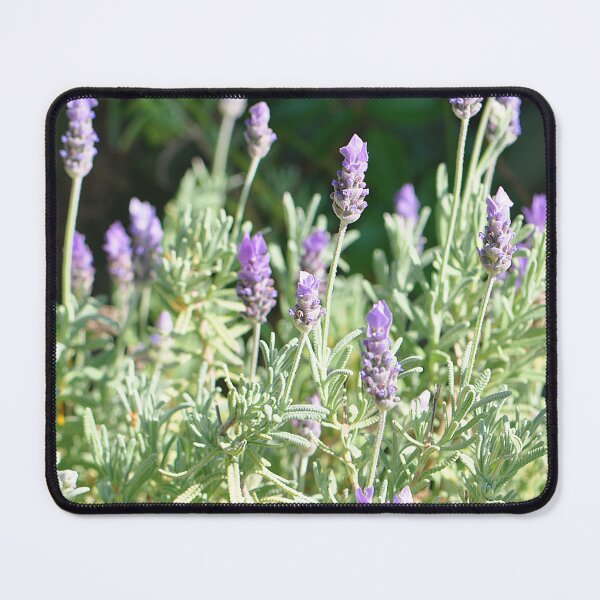 Item preview, French Lavender Purple Flowers designed and sold by IPPhotography.