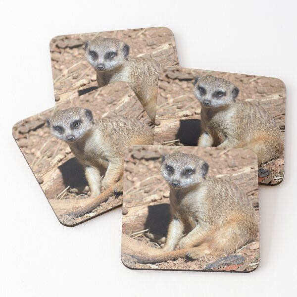 Item preview, Meerkat designed and sold by Savannah Gibbs.