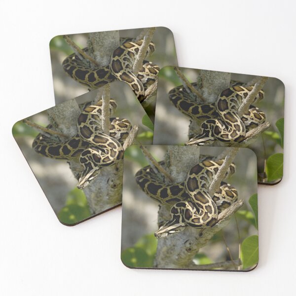 Item preview, Royal Python In A Tree designed and sold by TheAnimalZ00.