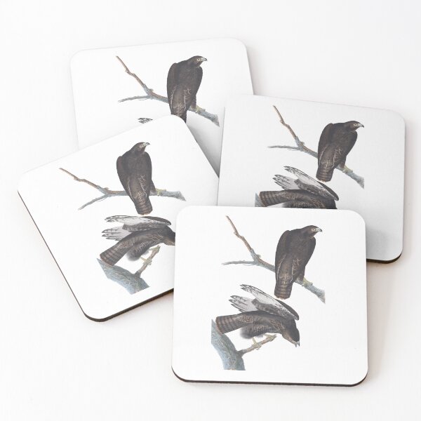 Item preview, Black Warrior Birds Vintage Chromolithograph by Audubon and Havell Birdwatching Gift designed and sold by ElegantTeaTime.