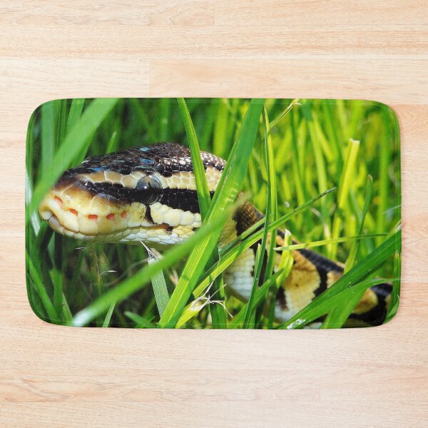 Item preview, Royal Python In The Grass designed and sold by TheAnimalZ00.