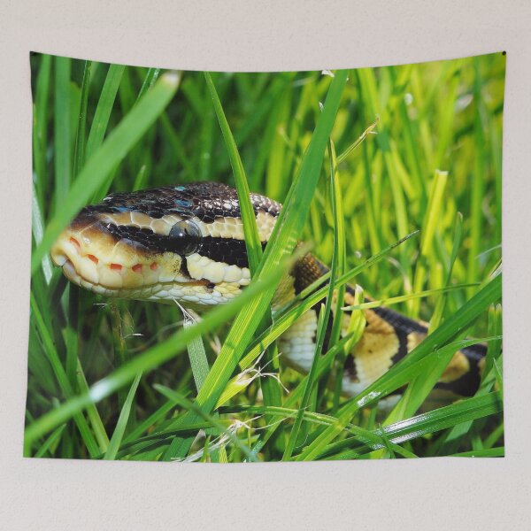 Item preview, Royal Python In The Grass designed and sold by TheAnimalZ00.