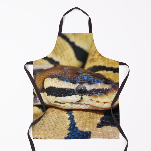 Item preview, Closeup of a Royal Python Snake designed and sold by TheAnimalZ00.