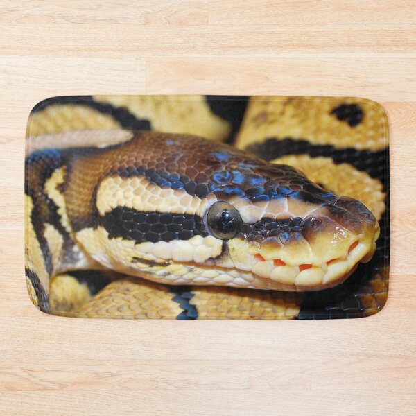 Item preview, Closeup of a Royal Python Snake designed and sold by TheAnimalZ00.