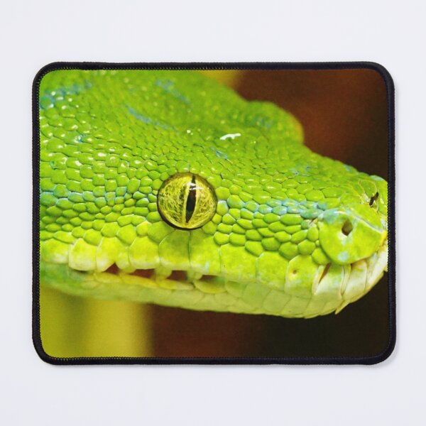 Artikelvorschau, Grüne Pythonschlange entworfen und verkauft von TheAnimalZ00.