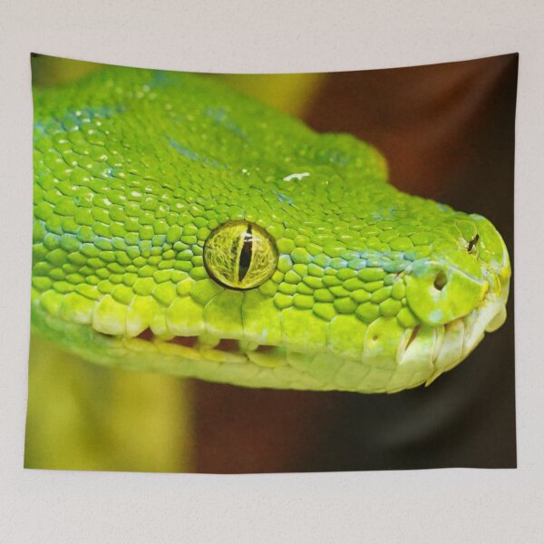Artikelvorschau, Grüne Pythonschlange entworfen und verkauft von TheAnimalZ00.