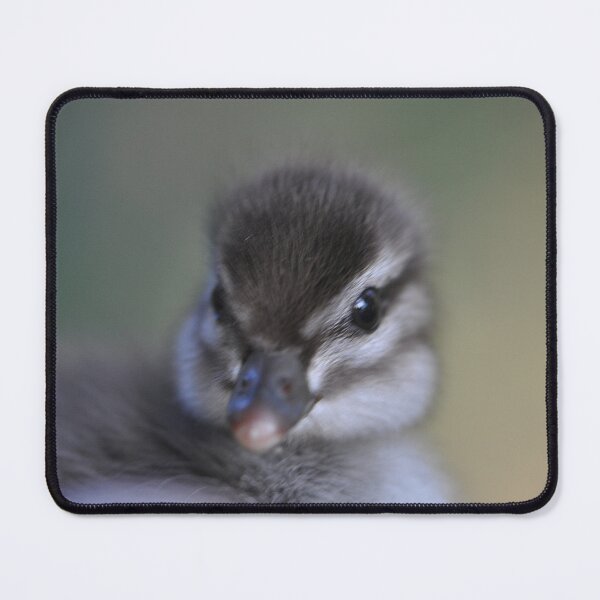 Item preview, Cute Fluffy Duckling designed and sold by IPPhotography.