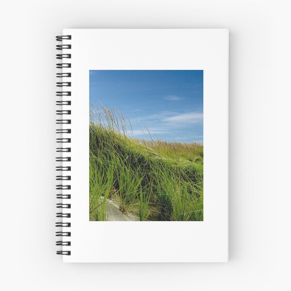 Item preview, Sea View Estates Beach Grass designed and sold by dennisjordan.